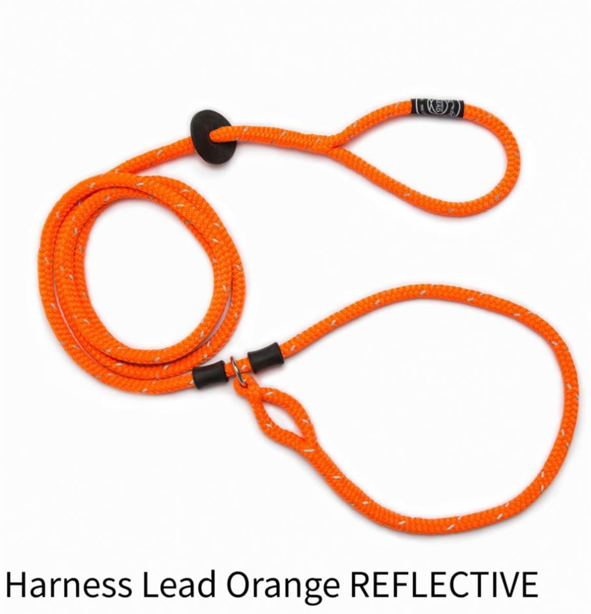 Harness Lead Orange  XL